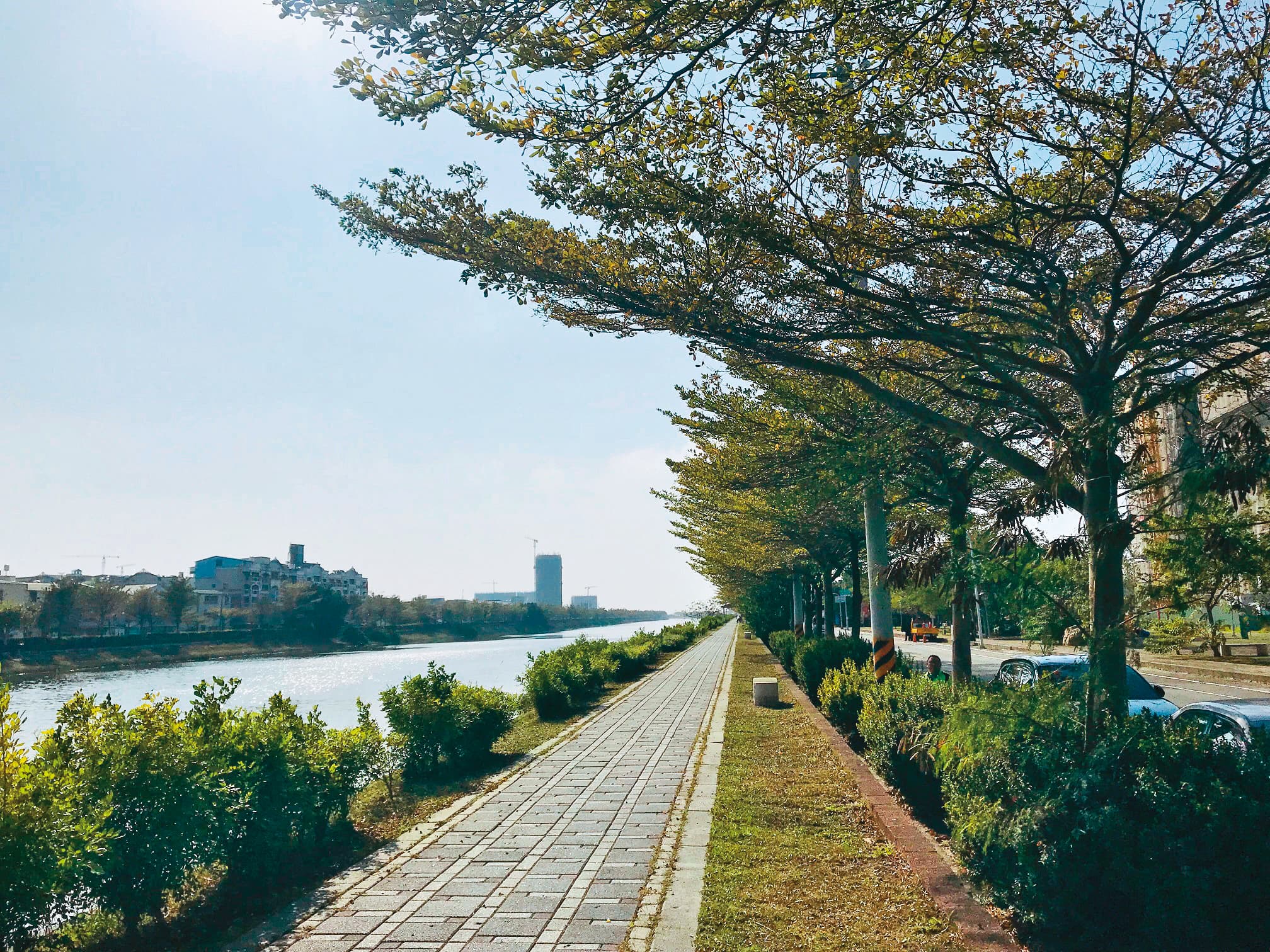 學甲區174 線公路段的小葉欖仁，每每到了春天就會形成近1 公里長的翠綠隧道。（臺南市政府觀光旅遊局提供）