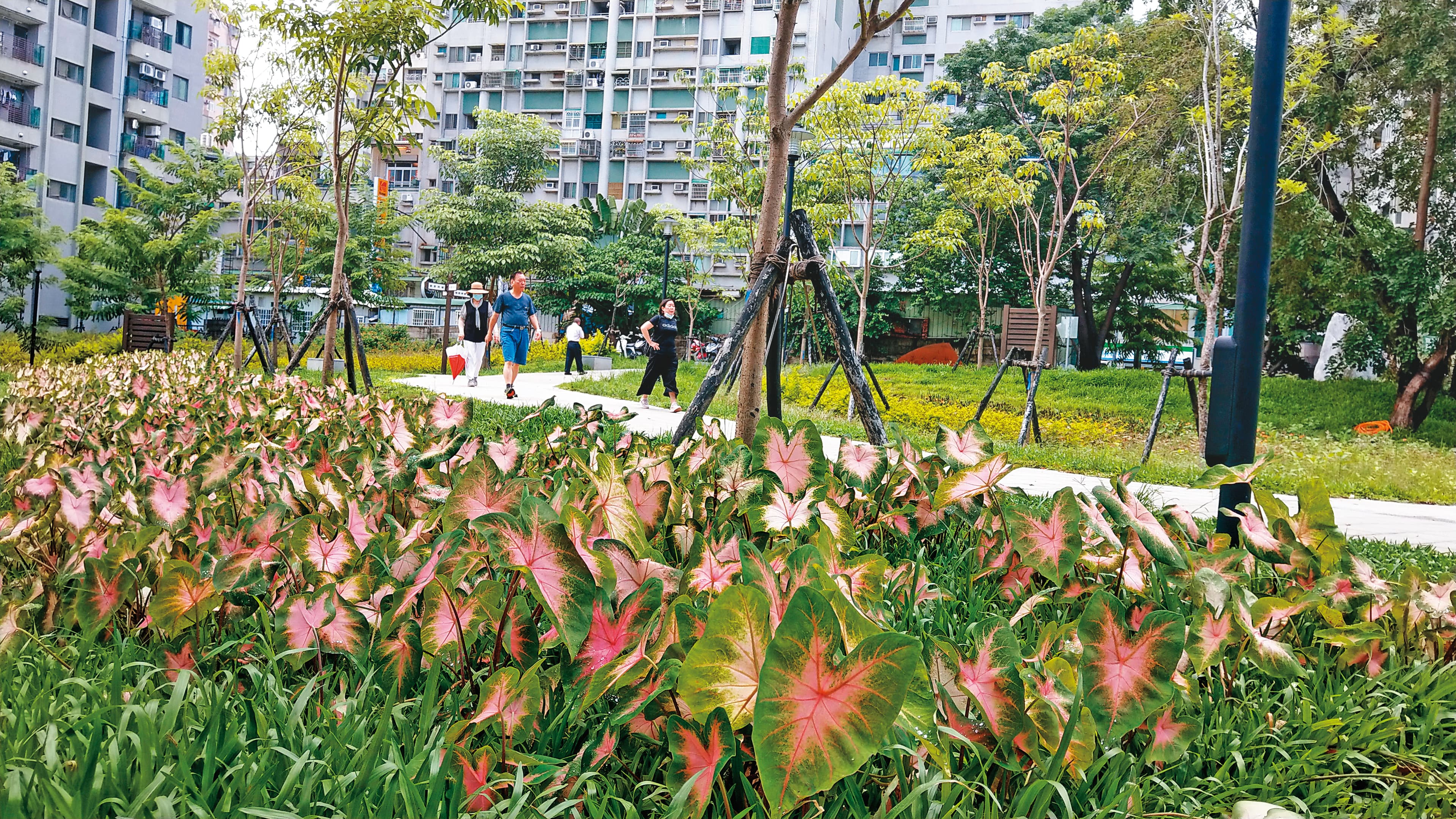 祥合公園位在大樓叢林間，面積約1萬3,700平方公尺，實現了永康人20年的公園夢。