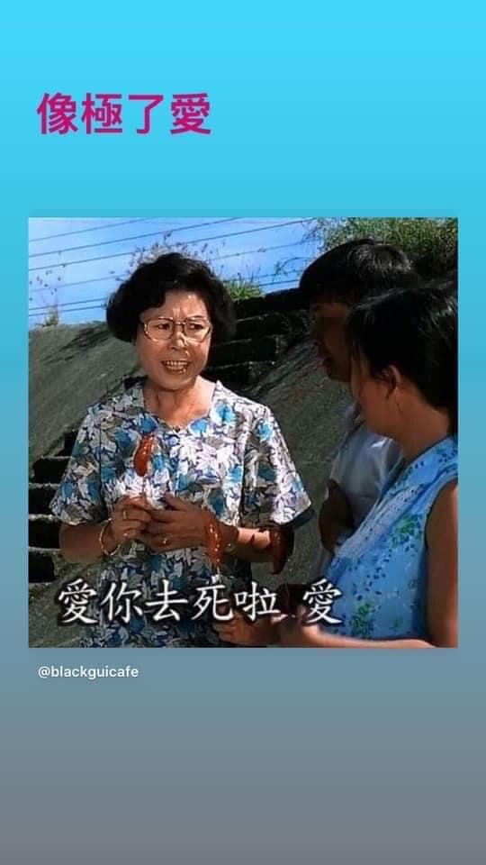 你受夠「像極了愛情」了嗎？貼這張「愛哩去死啦愛」迷因哏圖吧！這圖有文英阿姨的聲音。（翻攝自0.5mm插畫臉書）
