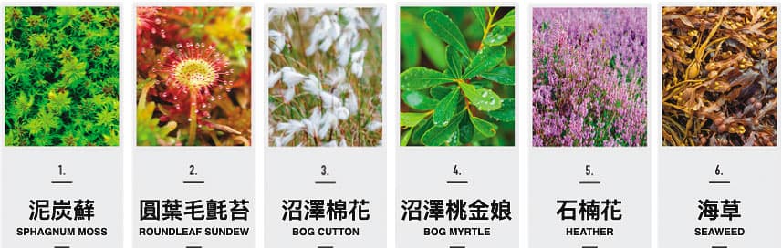泥煤成分雖以石楠花為主，但其實還有海草、泥炭蘚、圓葉毛氈苔、沼澤棉花、沼澤桃金娘等植物。