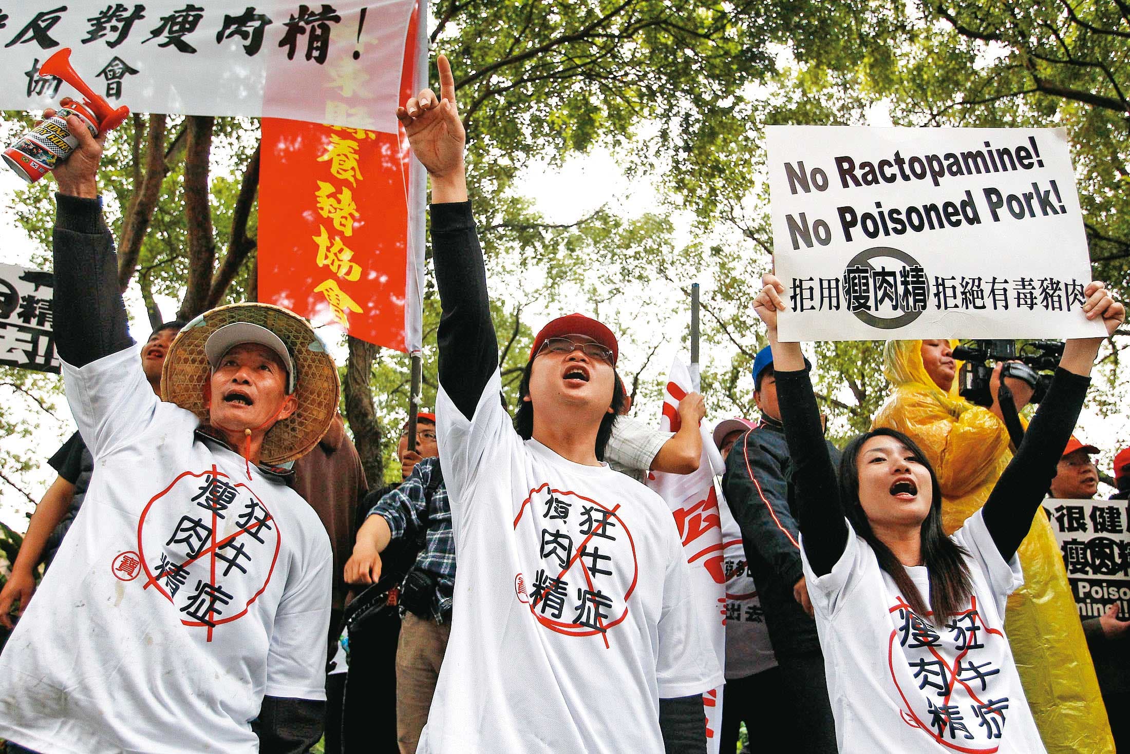 我國政府過去只要觸及開放美豬議題，就會引發大規模豬農抗爭。（達志影像）