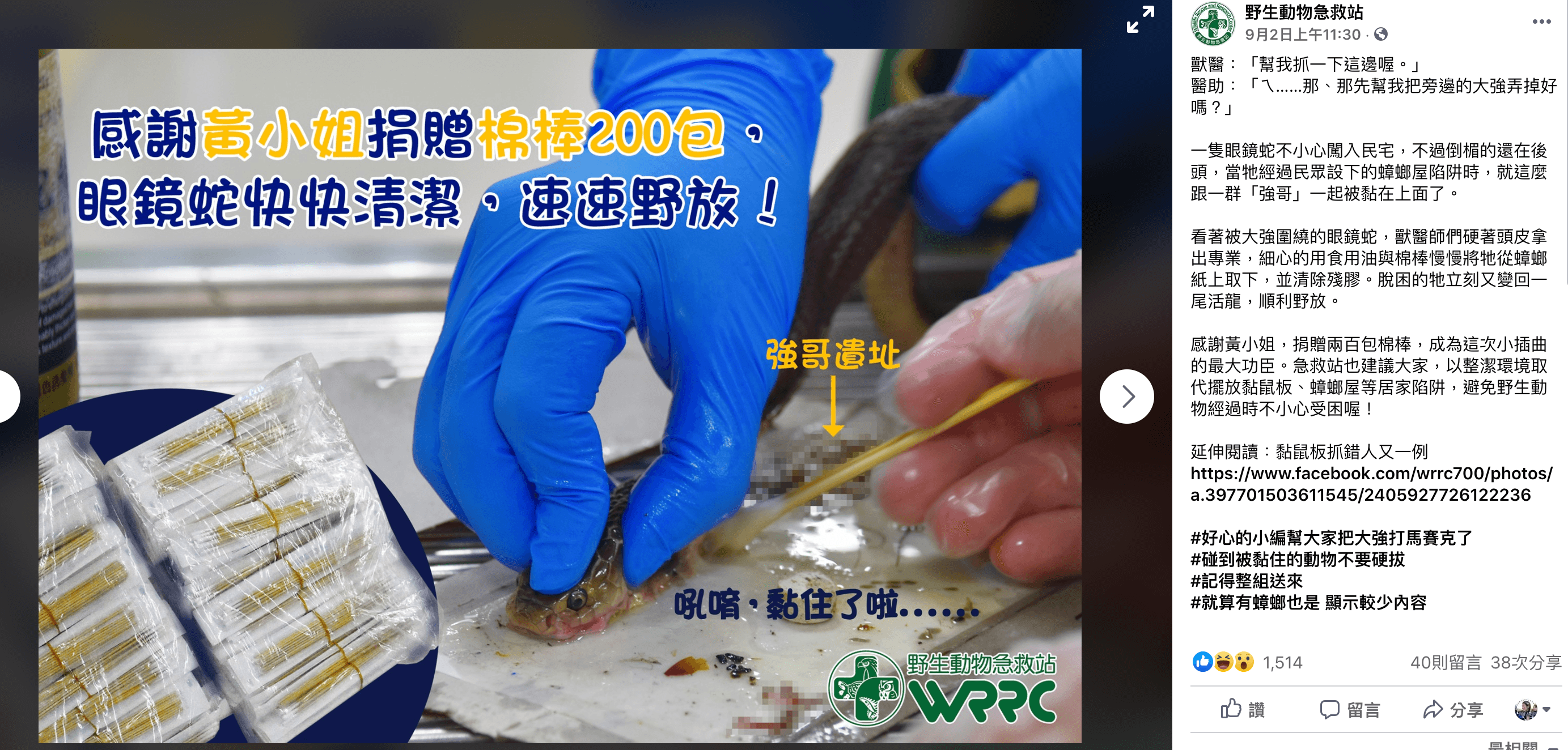 《野生動物急救站》po文表示有眼鏡蛇誤入蟑螂屋被黏死，經過一番工夫終於順利解救。（圖截自《野生動物急救站》臉書）