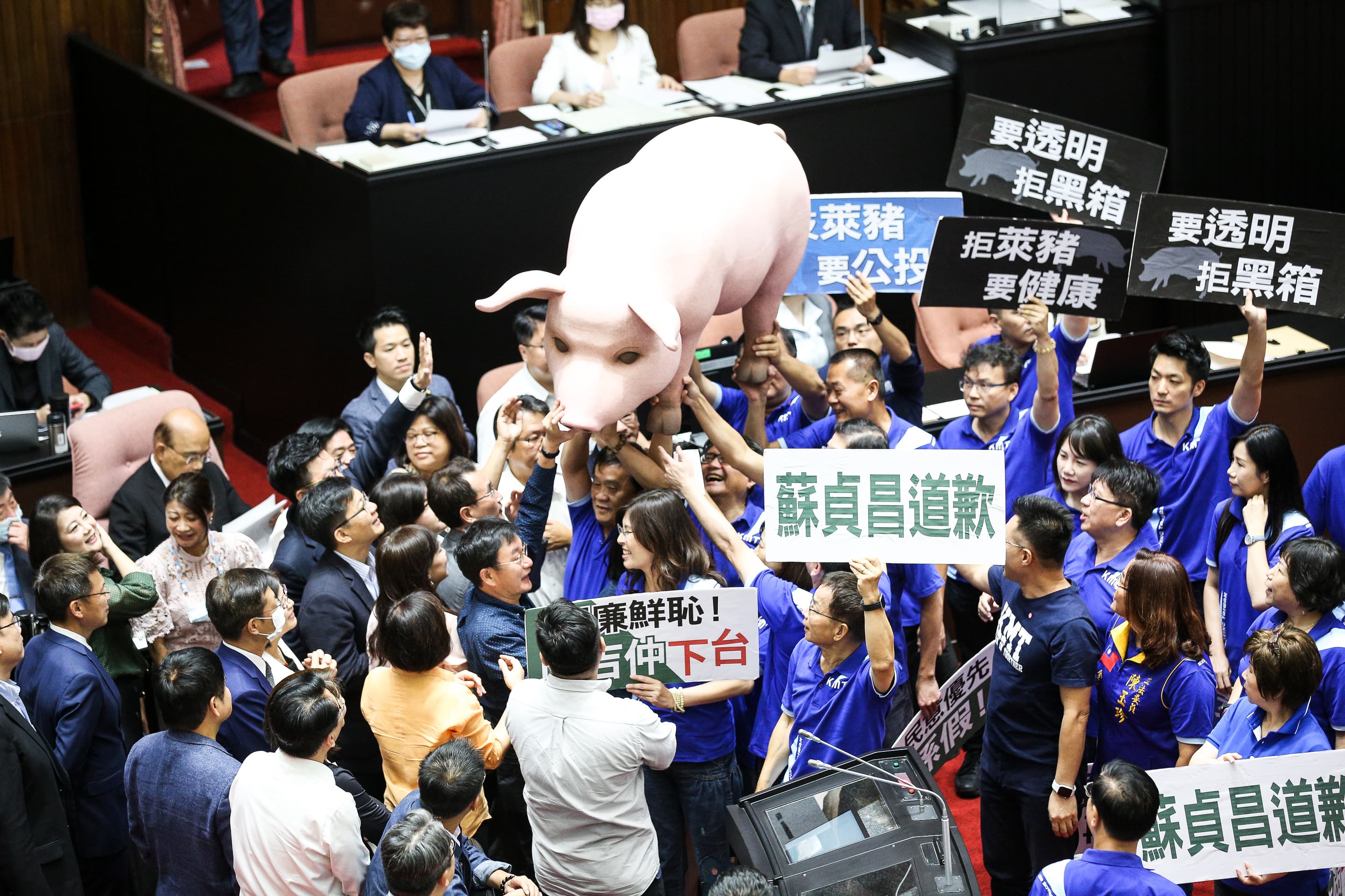 國民黨團總召林為洲率領所有藍委，高喊：「蘇貞昌道歉、陳吉仲下台、蔡英文來報告！反萊豬、顧健康！要透明、拒黑箱！」等口號。