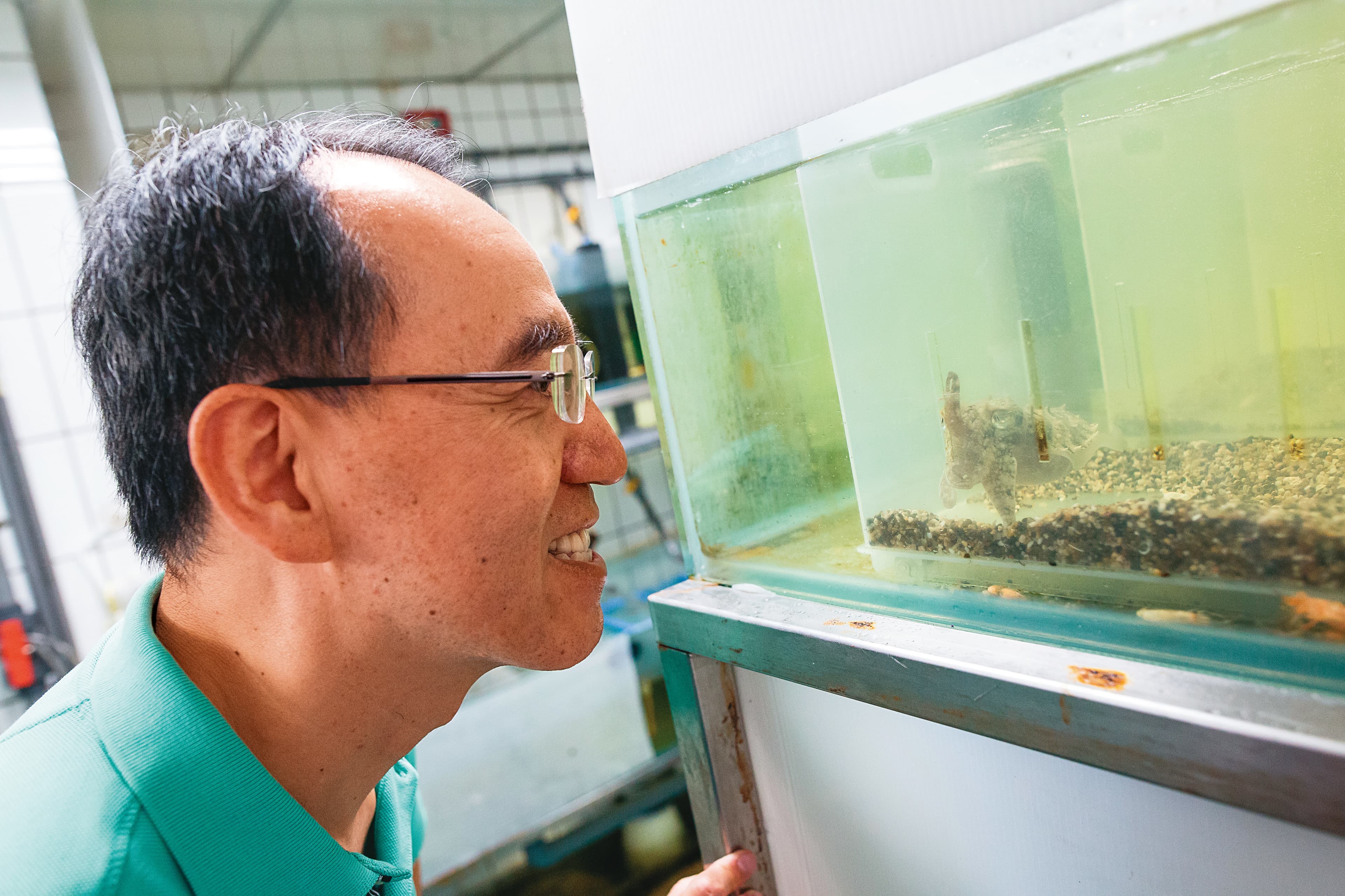 焦傳金談起烏賊總是眉飛色舞、一臉沉醉，宛如烏賊是全世界最可愛迷人的生物。