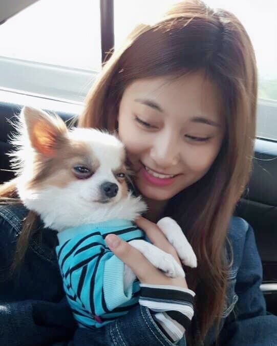 子瑜每回返台，都會抱著愛犬酷吉到處趴趴走。（翻攝TWICE IG）