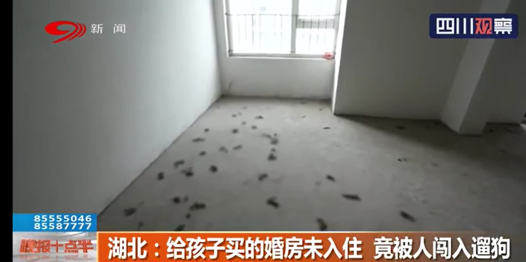 唐姓婦人表示這間房子是要給兒子的新房，沒想到竟被人闖入遛狗還留下滿地黃金。 （翻攝自四川觀察視頻）
