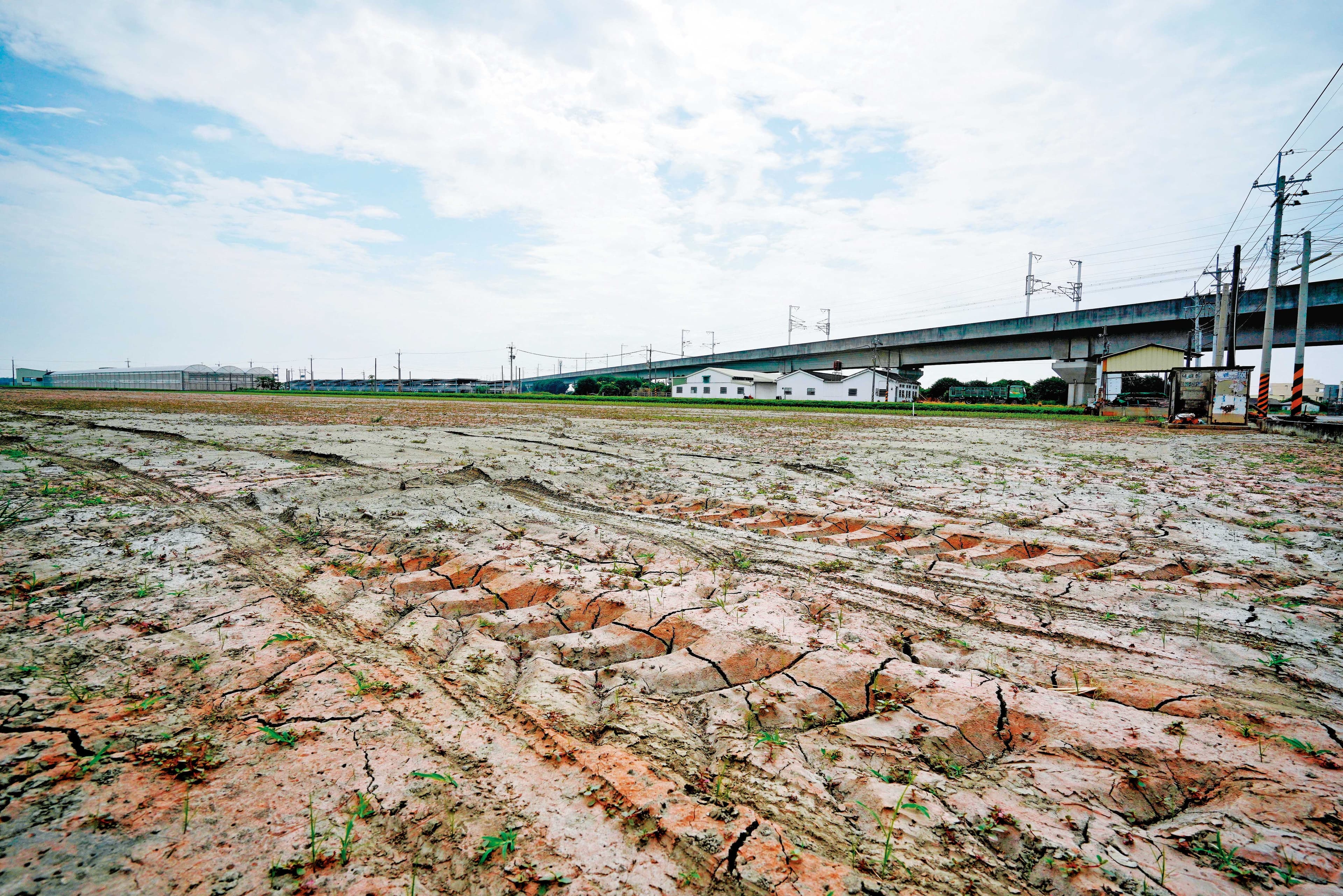 官方決定釋出2萬公頃的廢耕農地，讓廠商種電，台灣太陽能產業等於再注入一劑強心針。