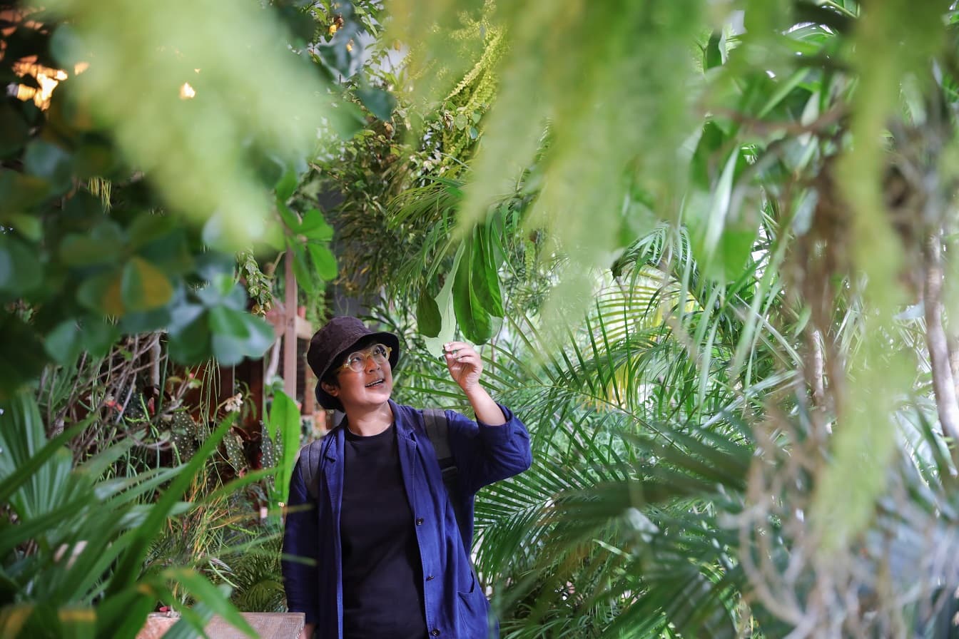 綠意植栽彷彿溫室，包圍整座老宅。