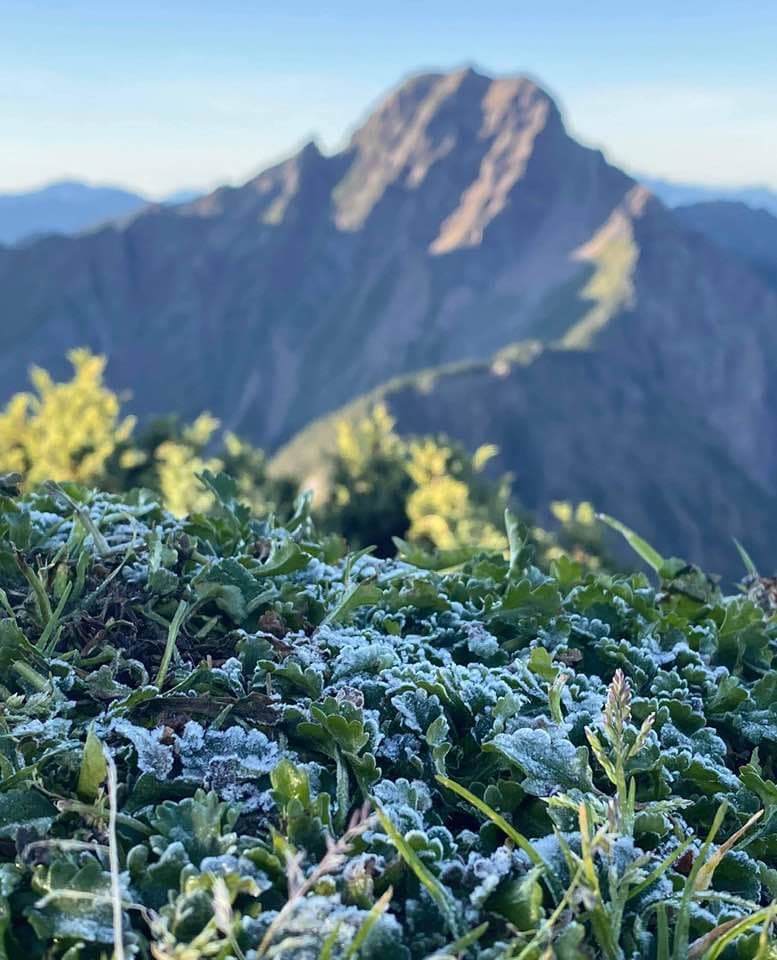 寒露到，玉山北峰結霜了。（翻攝自鄭明典臉書，玉山氣象站李正紀提供）