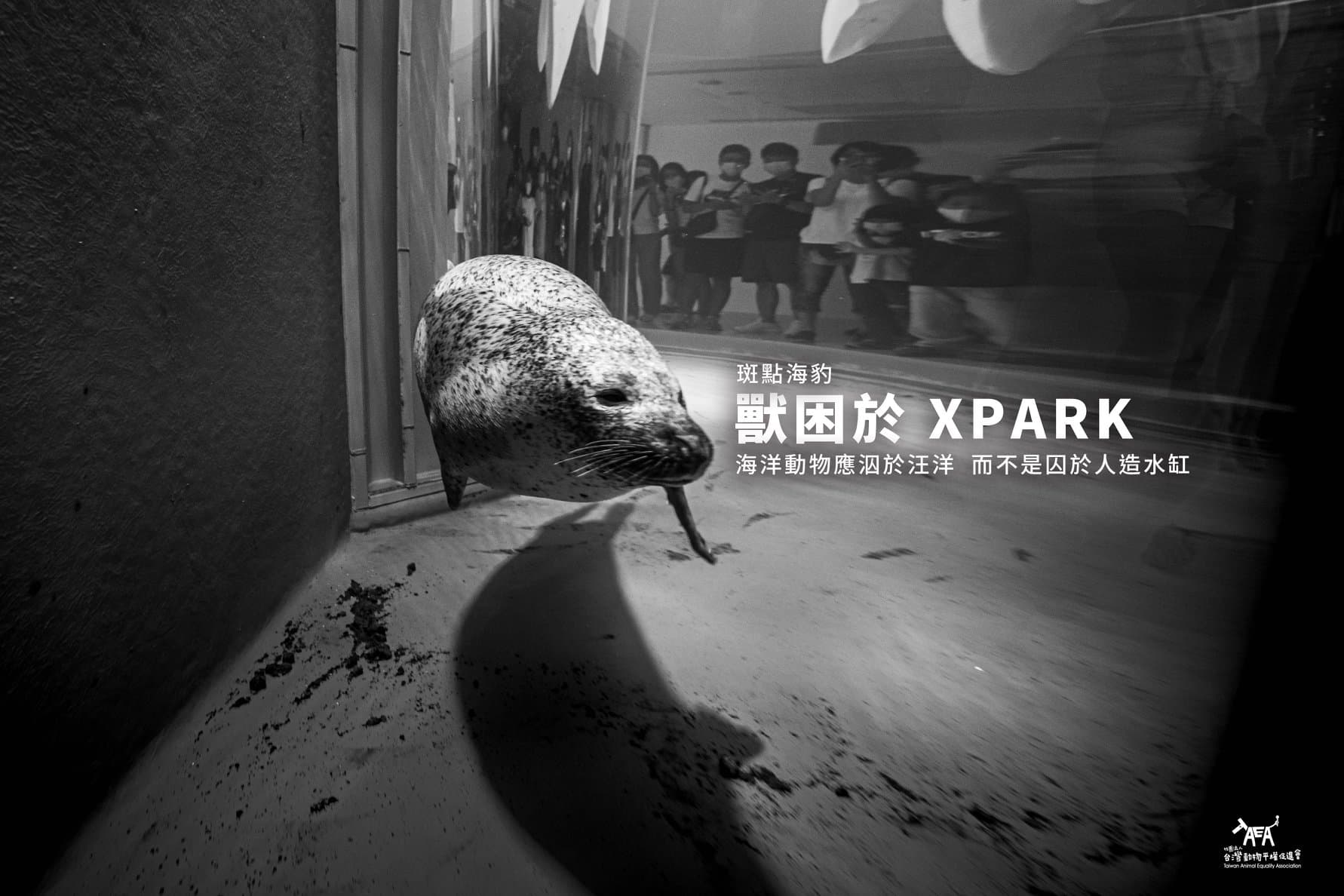 台灣動物平權促進會po文批評Xpark水族館，設計狹小、單調的人造水缸，完全只為了滿足人類觀賞的需求。（翻攝自台灣動物平權促進會）