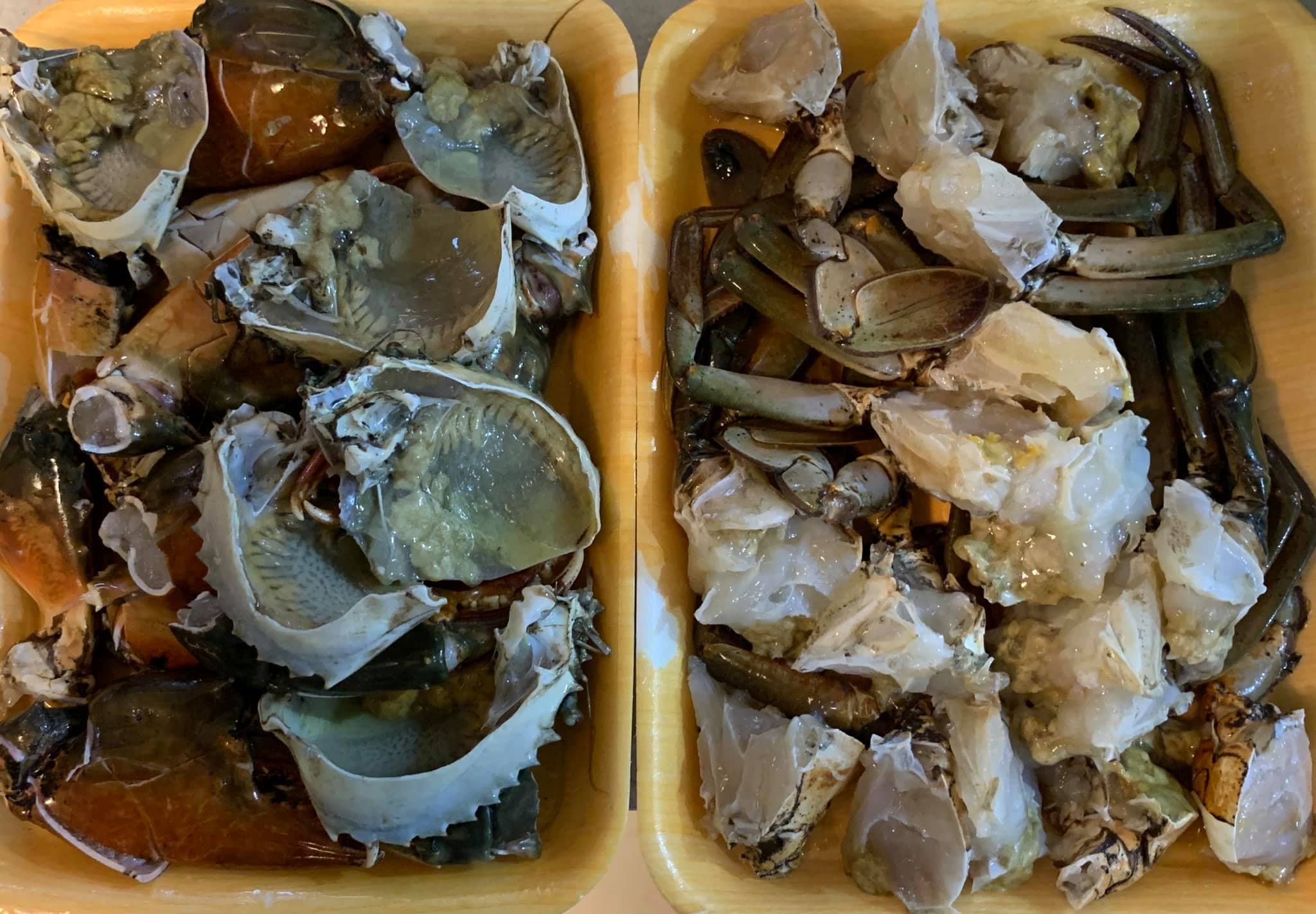 準備3隻大沙公。