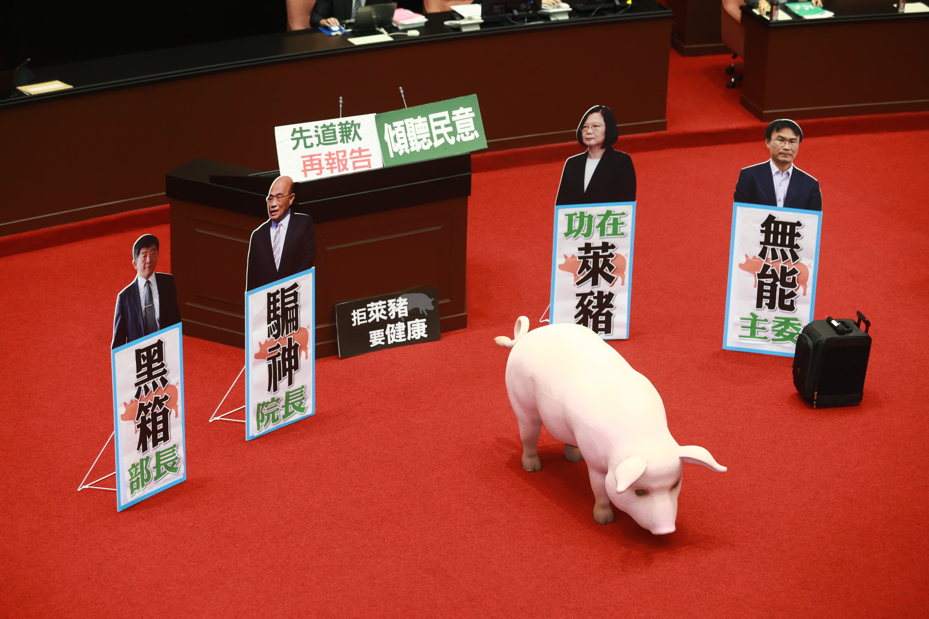 國民黨今日再度占領議場，並搬出豬模型。