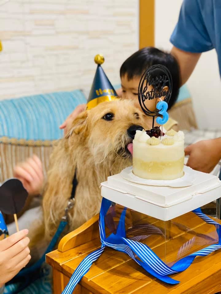 「熊爸」領養的「熊三」3歲了！「小孩長很快，大人也老很快，只有熊三看起來不會老。看到小孩跟狗狗，是最開心的事。」（翻攝自熊爸臉書）