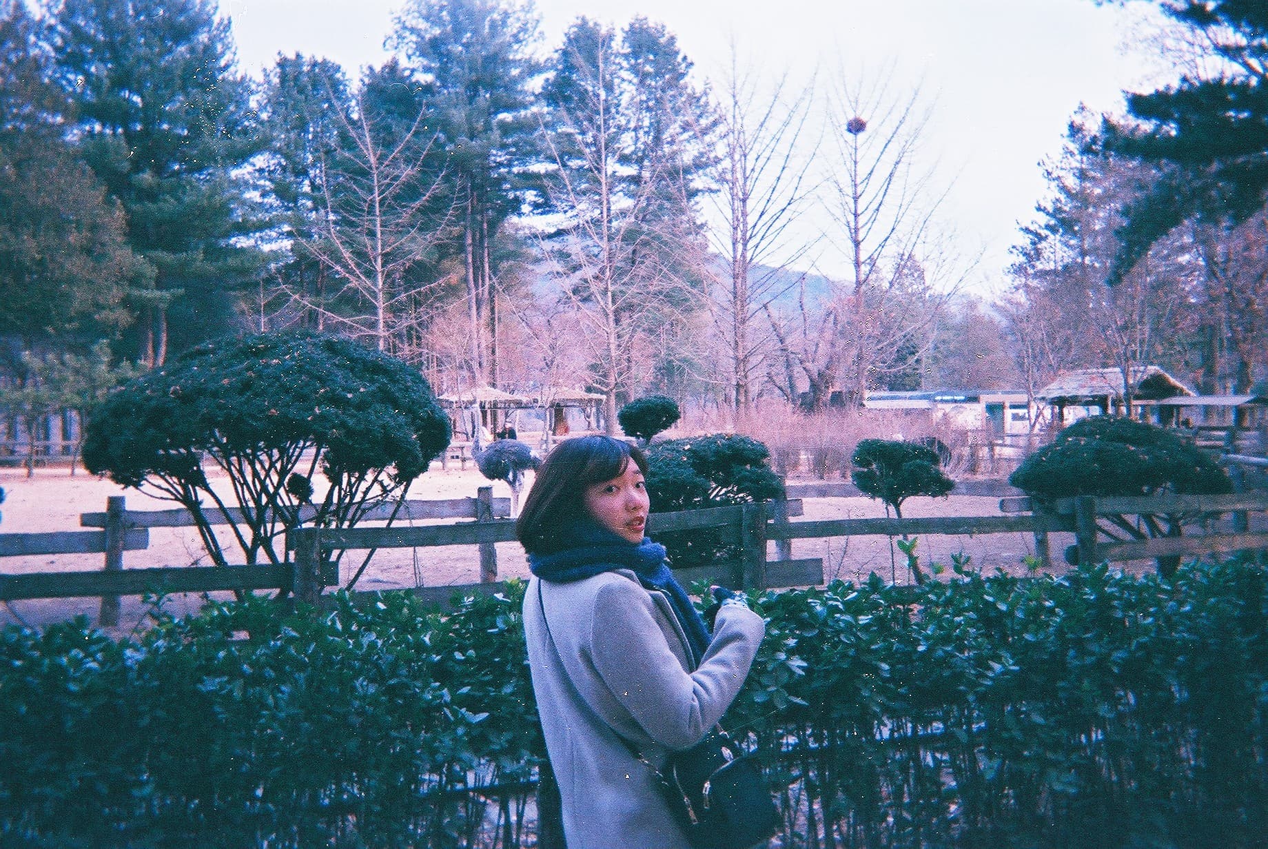 李蘋芬（李蘋芬提供）