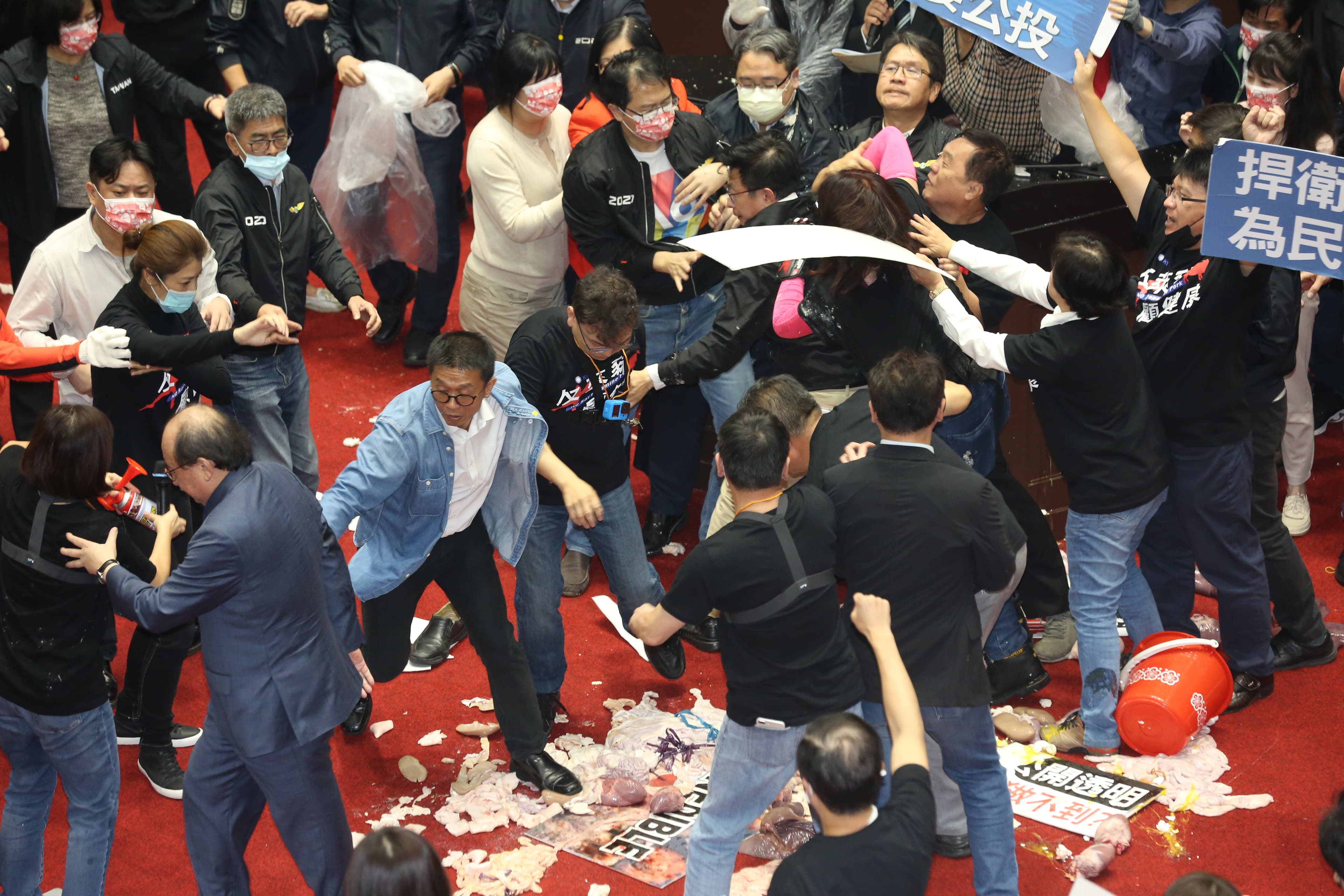 國民黨立委丟擲豬內臟，與綠委推擠場面非常混亂。