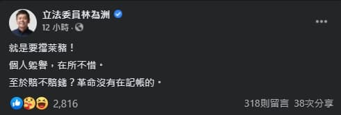 林為洲談起賠償，竟稱「革命沒在記帳的」。（翻攝自林為洲臉書）