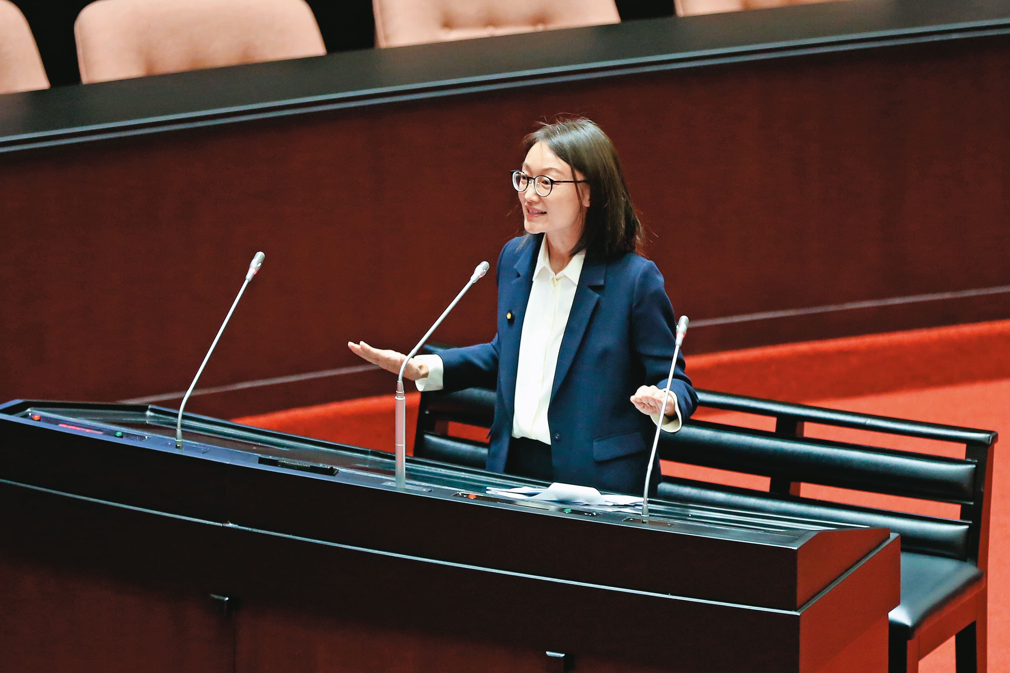吳怡玎在立法院質詢時自爆遭檢調搜索，並質疑搜索程序是否合法。