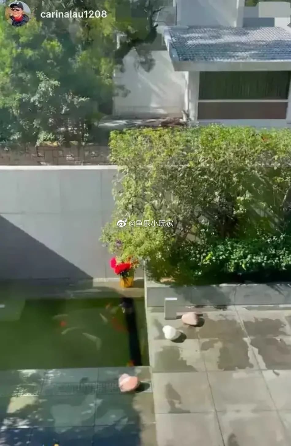 劉嘉玲秀出自家價值11億的豪宅部分景觀，她還在庭院養了錦鯉。（翻攝自魚樂小玩家微博）