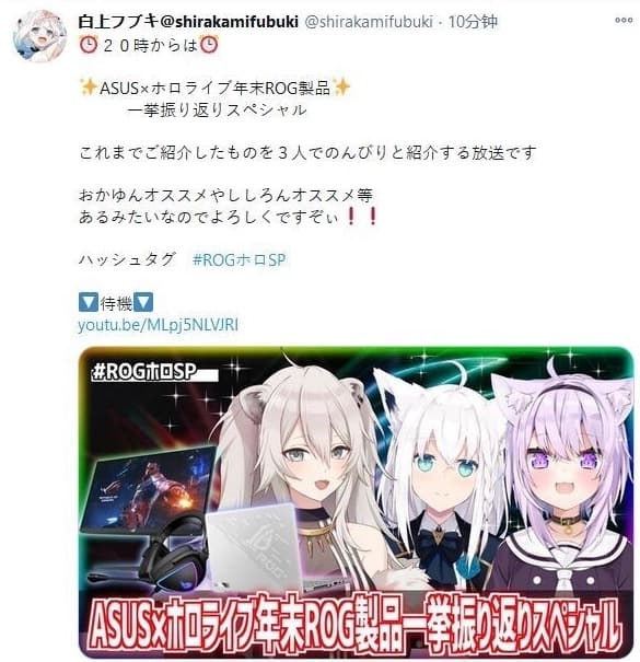 Hololive Vtuber白上吹雪於推特公告直播取消。（翻攝推特）