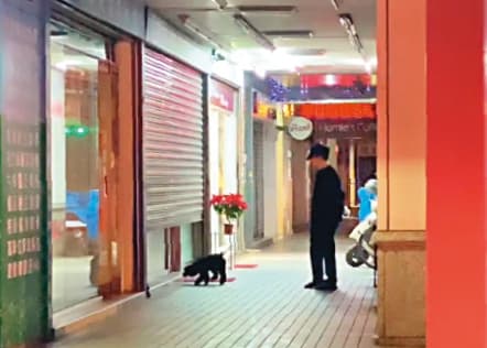 00：56，邱鋒澤（圖）與采子各走各的，他跑去例行遛狗，一個人躲得遠遠。