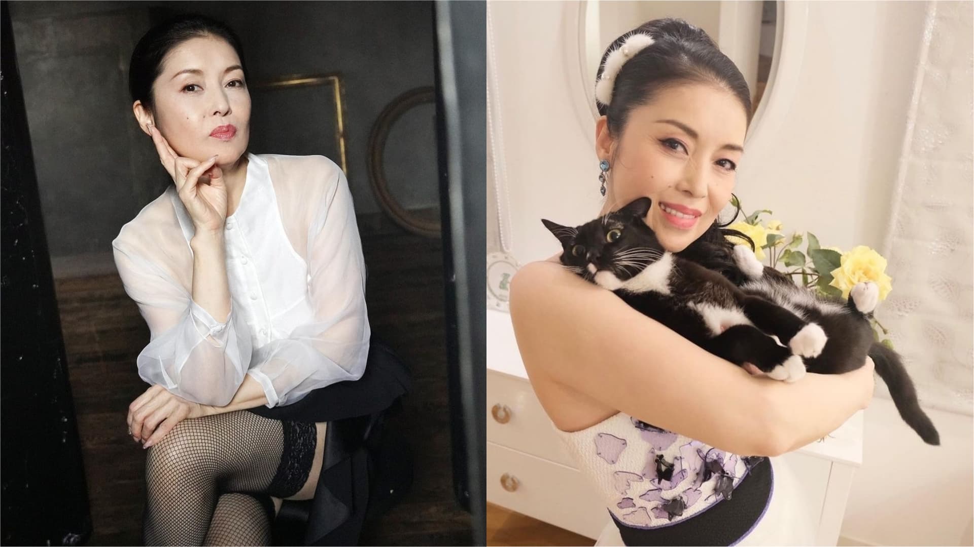 藤彩子是日本演歌界長青樹，亦常在個人社群網站上曬貓。（翻攝自藤彩子IG）