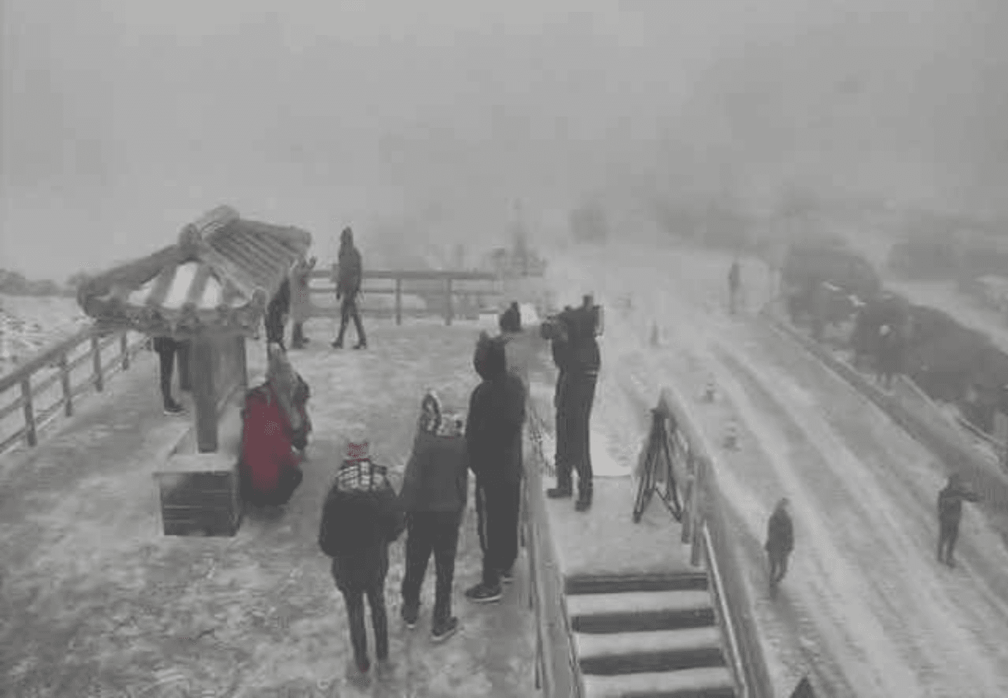 合歡山氣溫下探0度，武嶺化成一片雪白世界，讓追雪民眾十分興奮。（翻攝自即時影像監視器）