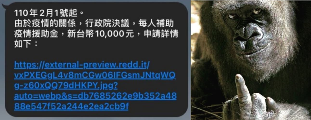 網友點開連結後，發現1頭微笑猩猩對著他比中指。（翻攝自PTT八卦板）