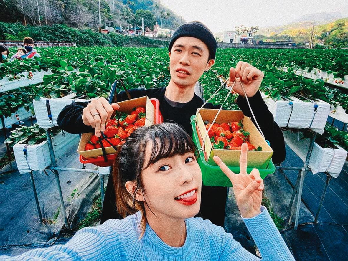 雖然有7月孕肚在身，簡廷芮還是到處趴趴走、和老公回中部老家採草莓。（翻攝自簡廷芮IG）