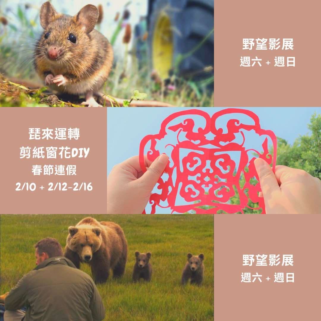 鰲鼓濕地森林園區剪紙窗花。（林務局提供）