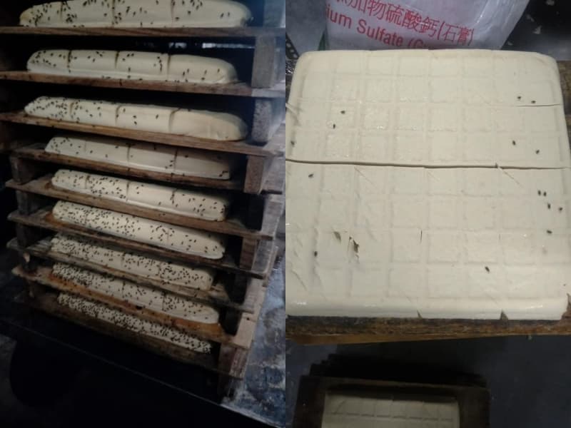 網友指該工廠「廁所與工作區域沒分開」,豆腐成品上的蒼蠅多到令人作嘔。(翻攝自爆廢公社)