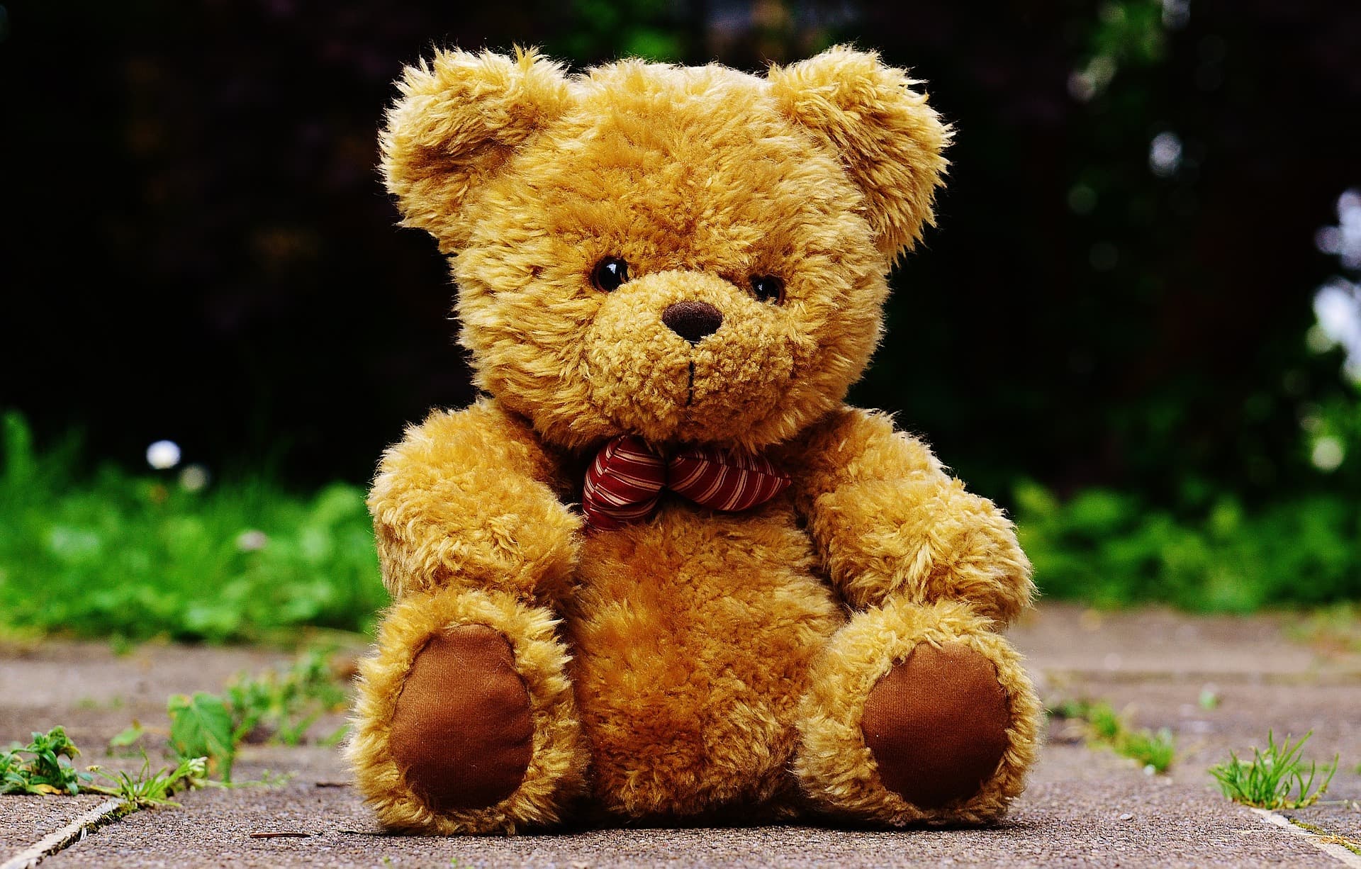 娃娃固然可愛，若收到太大的可是會讓人覺得有點傷腦筋。（示意圖，Pixabay）