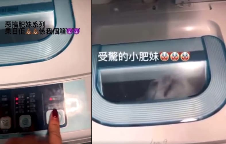 受到驚嚇的貓不斷在洗衣機內掙扎，更試圖頂開機門逃脫。（翻攝自Yuki IG）
