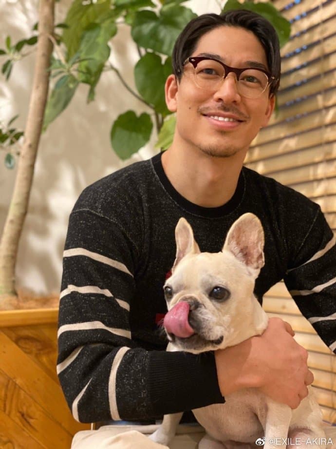  AKIRA最近新養的愛犬取名叫「Hope」。（翻攝AKIRA 微博）