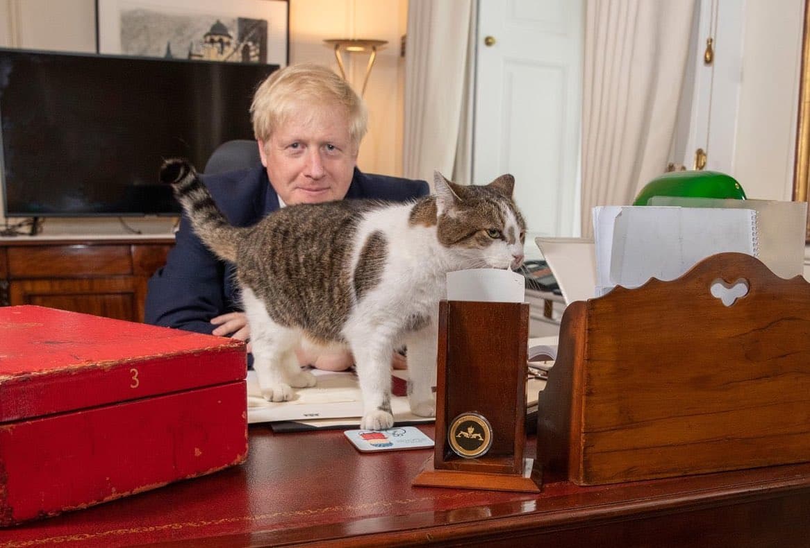 現任英國首相強森與賴瑞。（翻攝Boris Johnson推特）