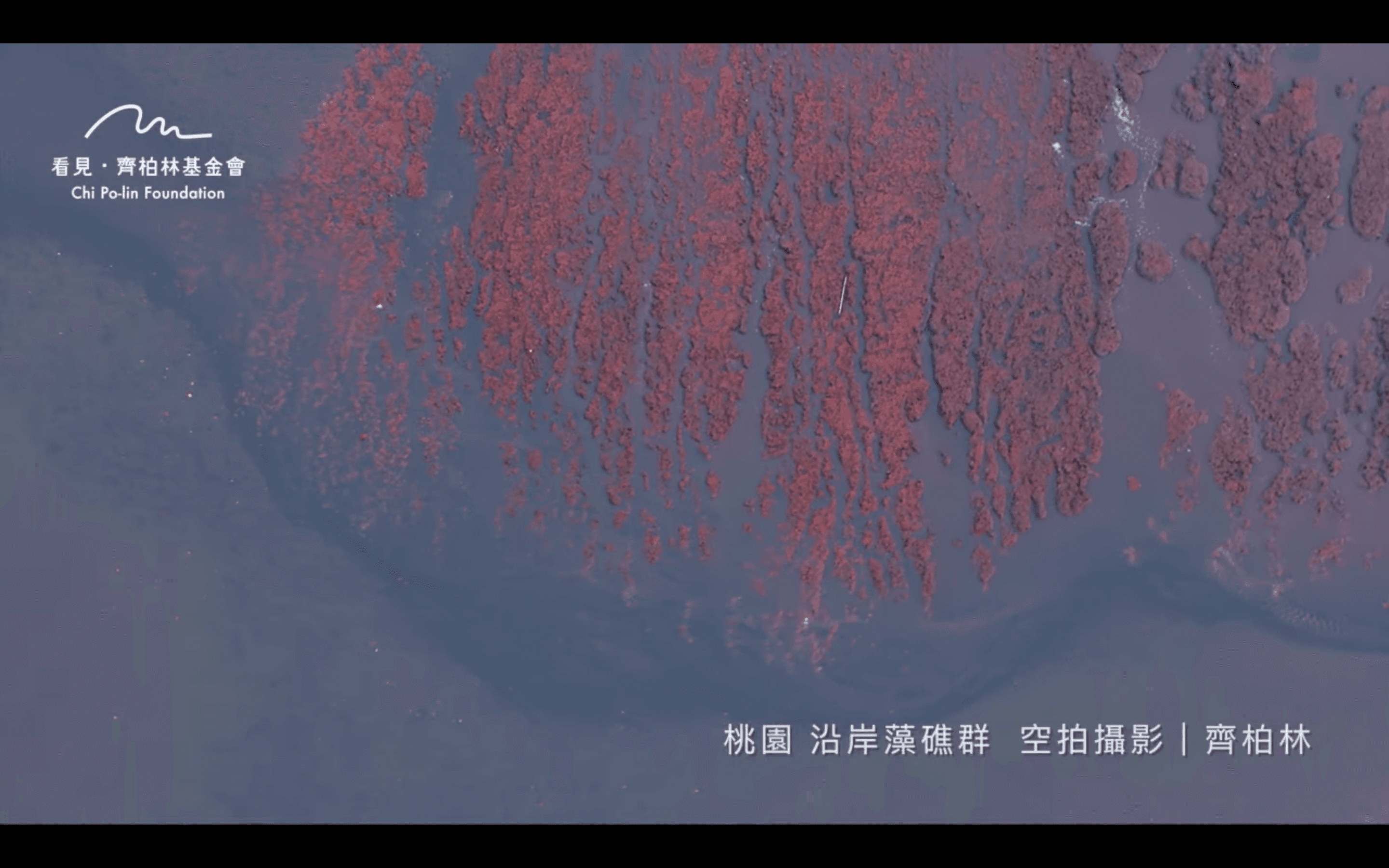 已故導演齊柏林曾空拍紀錄桃園藻礁。（翻攝自齊柏林的飛閱台灣臉書）