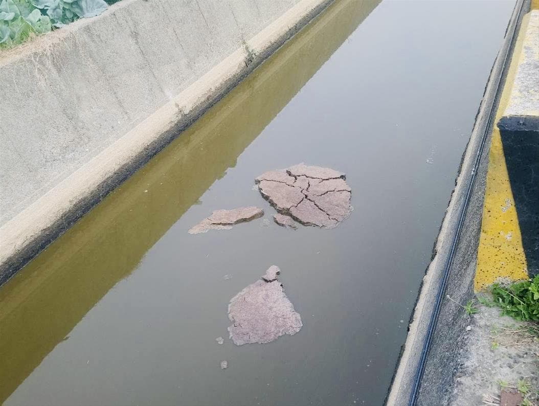牛糞飄在水面上。（高雄市環保局提供）