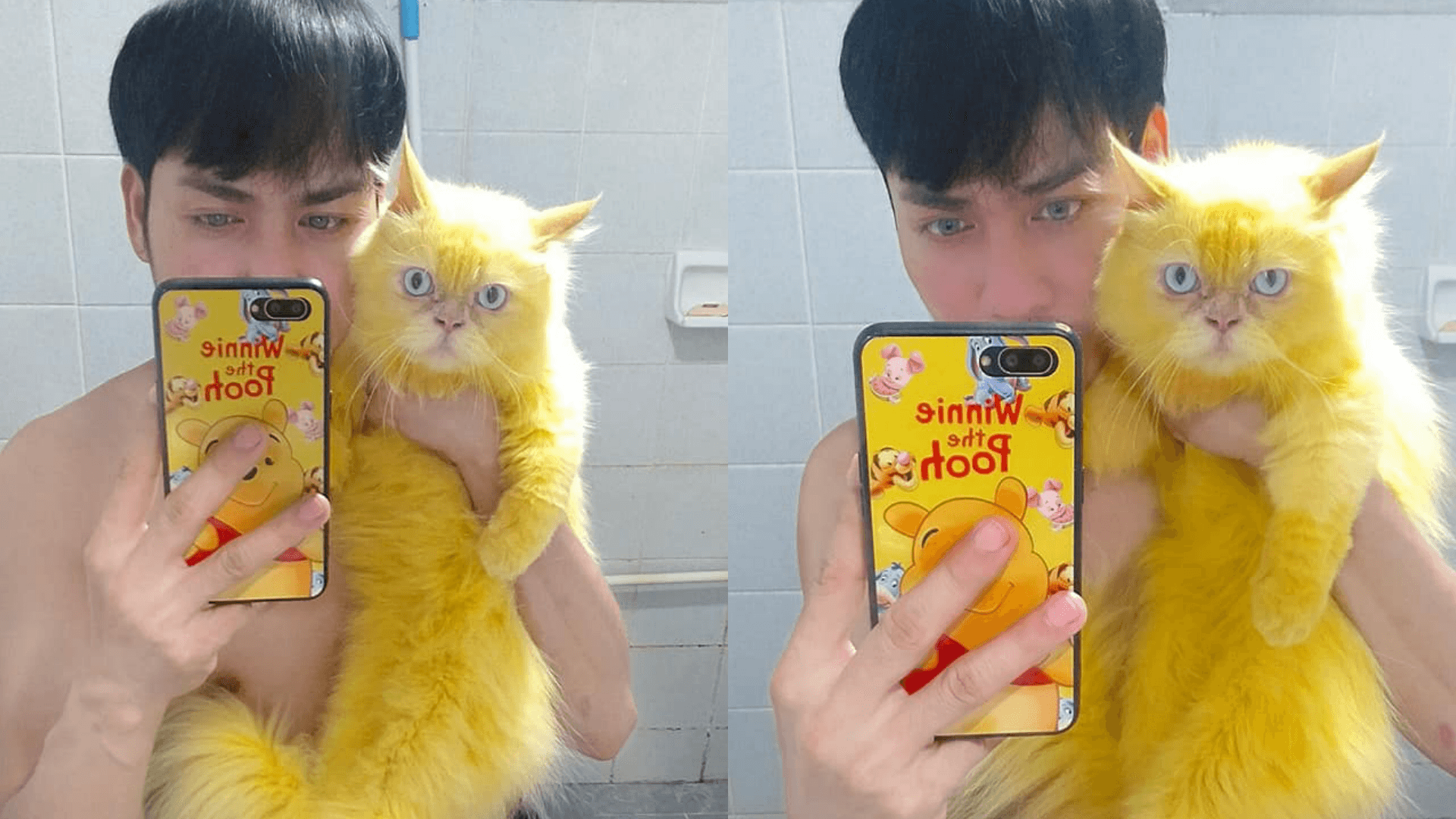 飼主PO出與Kapuang合照，鮮黃的毛色有另類的萌感。（翻攝บิ๊กบอส ชานนท์臉書）