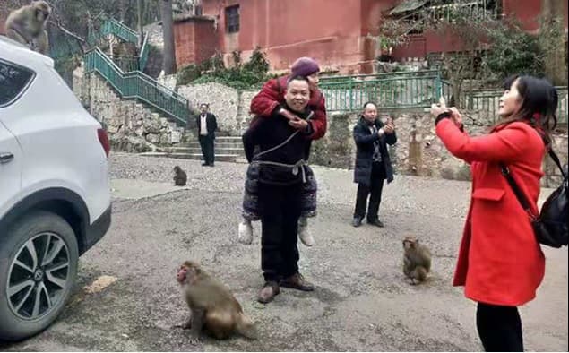 陳湘「孝子背母餵猴」的畫面，在中國大陸網路上瘋傳。（翻攝自阿里巴巴天天正能量微博）