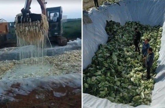 直接用生鏽怪手挖取、人穿鞋踩在泡菜上，中國產泡菜的超噁製作過程令韓國民眾反感。（翻攝自seattlen）