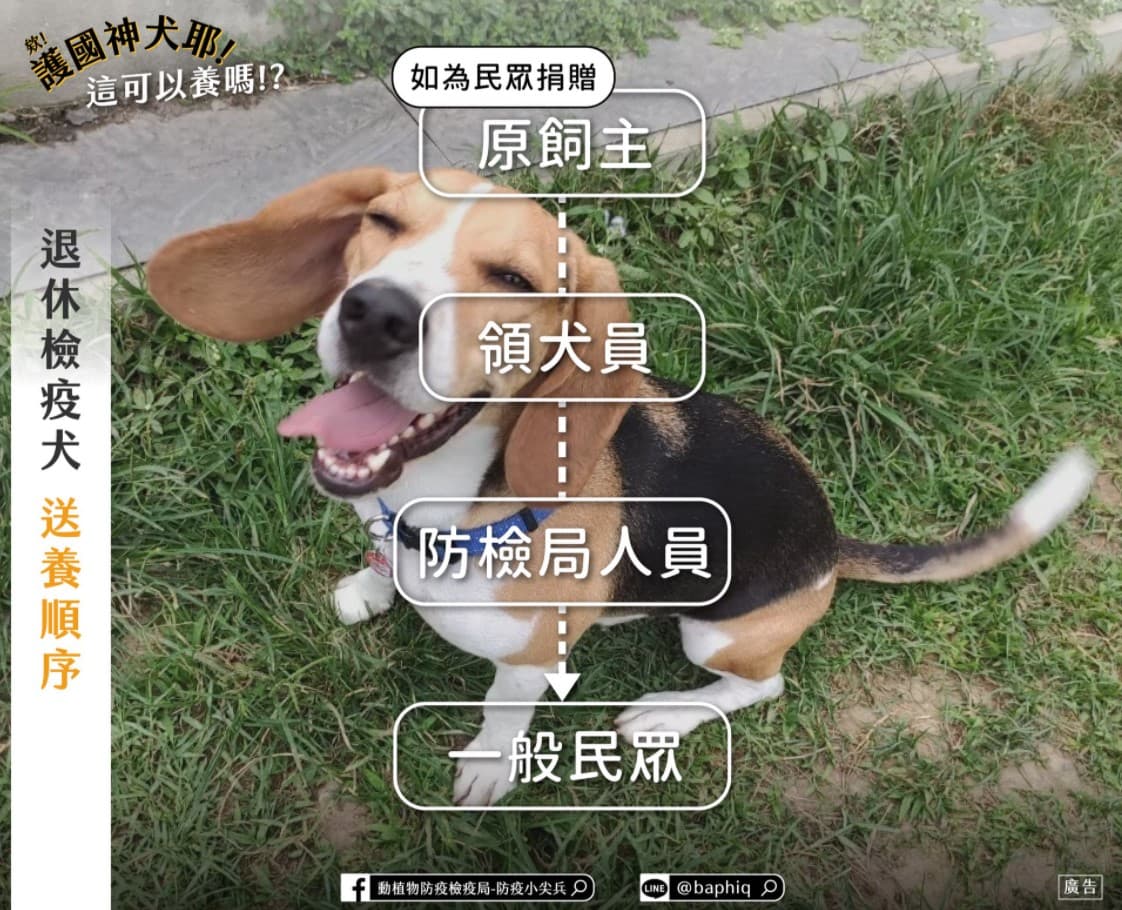 行政院農業委員會動植物防疫檢疫局介紹退休檢疫犬的送養、申請認養及後續照護等程序。（翻攝自動植物防疫檢疫局-防疫小尖兵臉書）