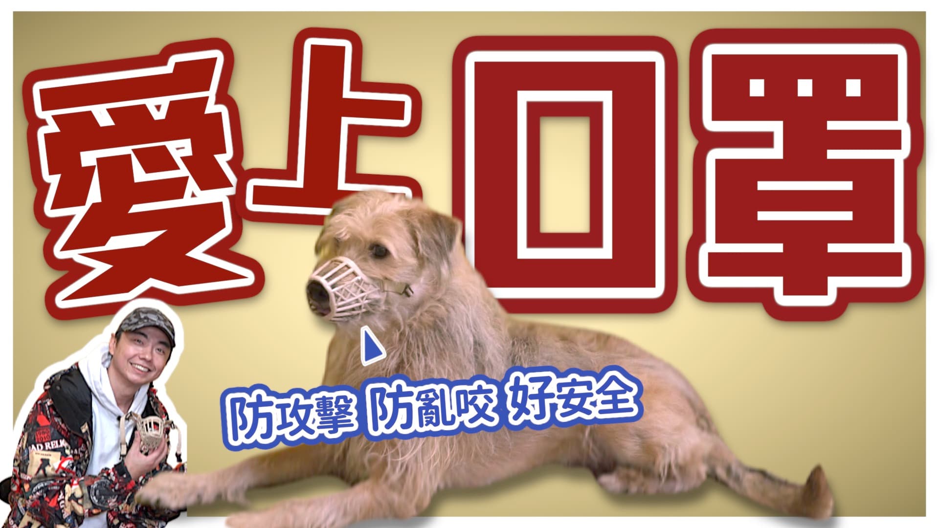 本集的〈熊爸估狗〉影片，教大家如何幫狗狗戴上口罩？口罩該怎麼選？何時才是最佳戴口罩的時機？（本刊資料室）