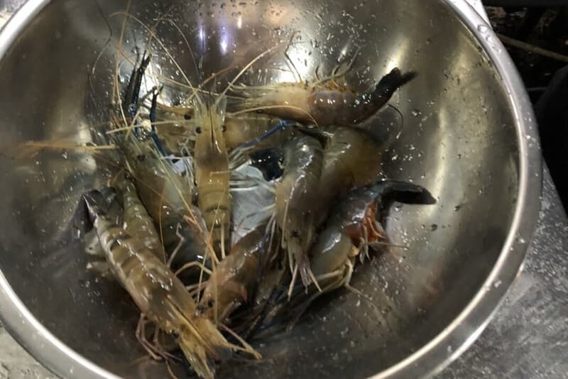 員工把自家釣蝦場當吃到飽餐廳，2個月監守自盜250台斤蝦子。（本刊資料照）