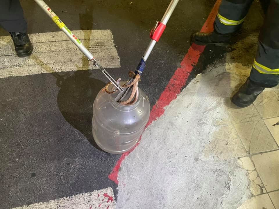 消防人員成功夾出毒蛇後，竟發現是台灣六大毒蛇龜殼花。（翻攝臉書「我是東湖人」）