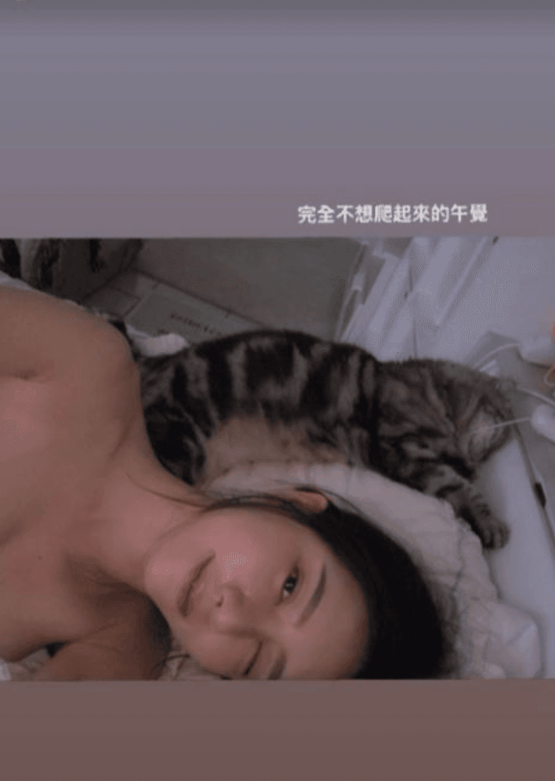 躺在床上的家家疑似上空。（翻攝自家家IG）