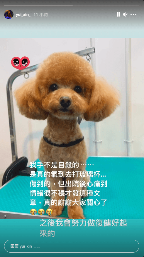 辛尤里深夜報平安，粉絲紛紛心疼表示加油。（翻攝自當事人IG）