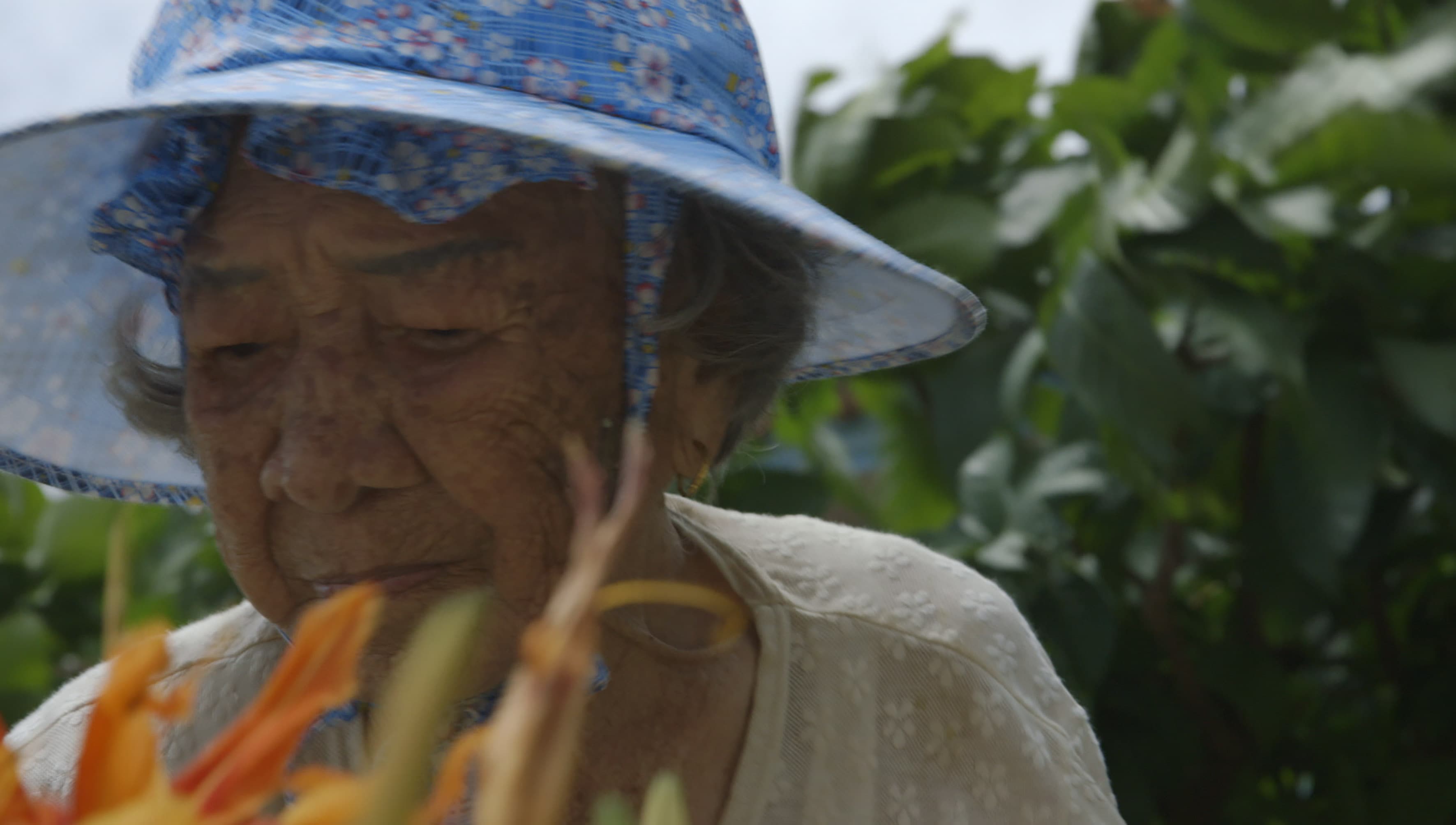 《綠色牢籠》超過90歲，當年出生在新北市三芝的橋間良⼦，被收為童養媳才來到了沖繩西表島。（希望行銷提供）