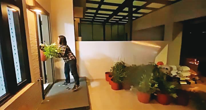 葉姓毒梟等人承租33棟豪宅充當大麻農場，並自行架設溫控、灑水及燈照設備，收成後再銷往北部夜店。（翻攝畫面）