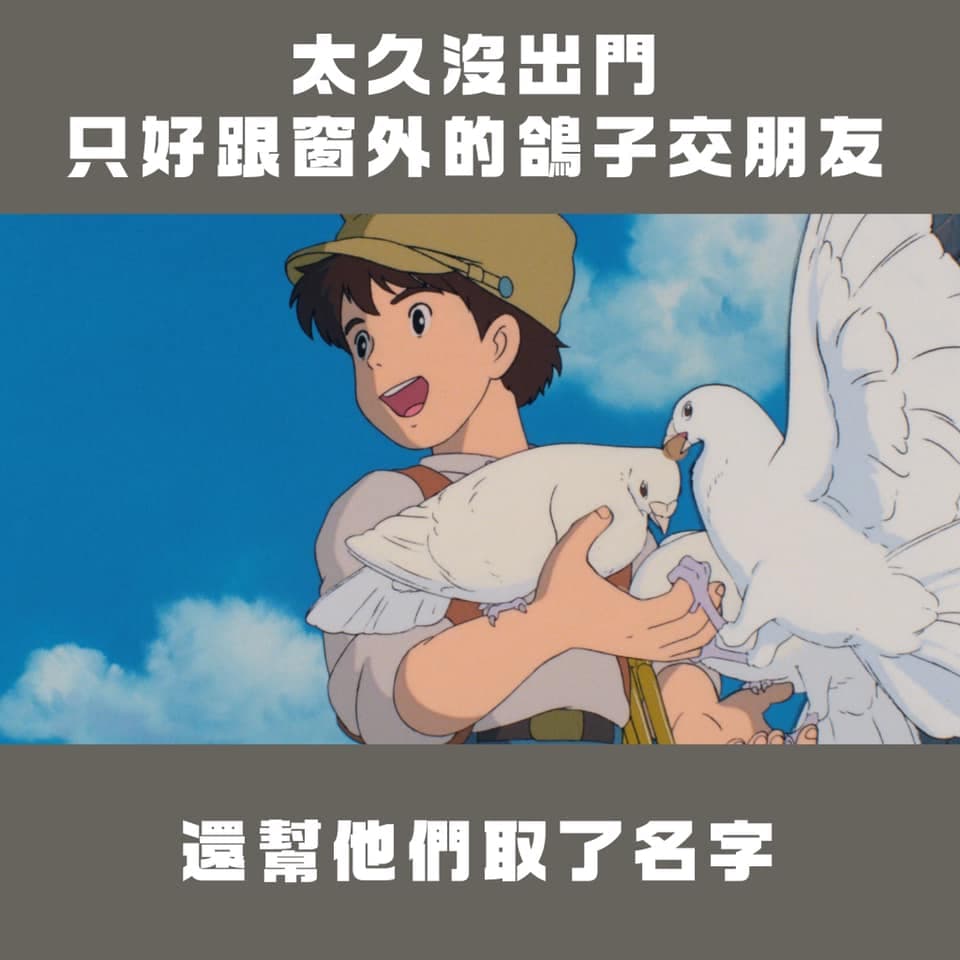 太久沒出門只好跟鴿子交朋友。（翻攝自台灣青年民主協會臉書）
