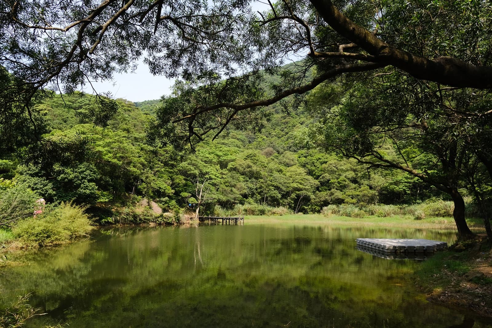 夢湖自帶仙氣，在雲霧飄渺時意境更美。