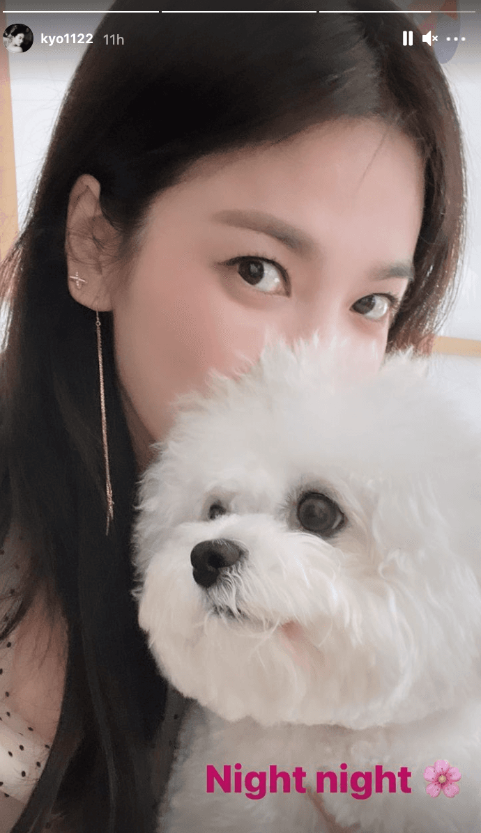 宋慧喬經常抱著愛犬更新IG，讓粉絲超羨慕，喊好想變成她的愛寵。（翻攝宋慧喬IG）